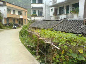Yangshuo Back Streets (16)