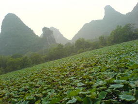 Yangshuo Back Streets (23)