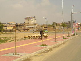 Baiyins Industrial Outskirts (13)