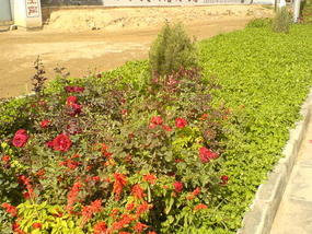 Baiyins Industrial Outskirts (6)