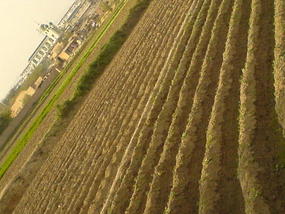 A Ride In The Eastern Hills (10)