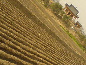 A Ride In The Eastern Hills (9)