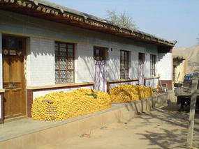 Southern Corn Bike Ride (20)