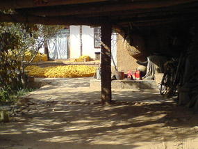 Southern Corn Bike Ride (22)