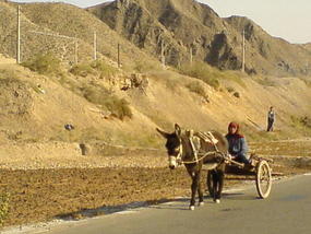 The North Western Bike Ride (22)