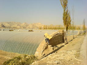 Southern Corn Ride 2 (2)