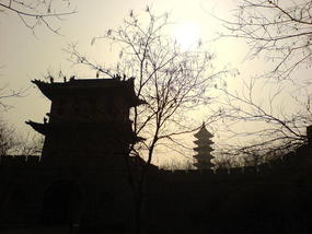 A Sudden & Sad Good Bye (3)