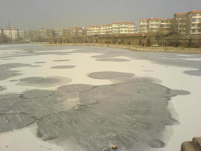 The Last Snow Shots (11)