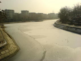 The Last Snow Shots (12)