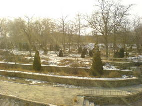 The Last Snow Shots (13)