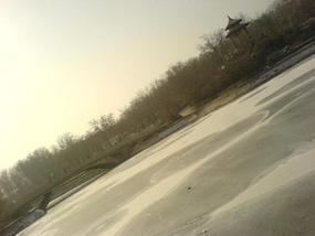 The Last Snow Shots (15)