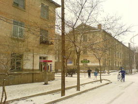 The Last Snow Shots (7)