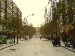 The Last Snow Shots (9)
