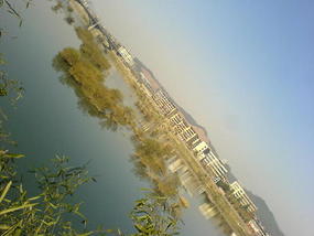 Lunch Time Walk (3)