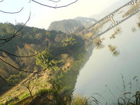Lunch Time Walk (4)