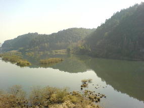 Lunch Time Walk (6)