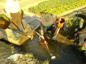 The River Old Quater (20)
