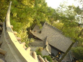 Mountain & Old Town Walk (11)