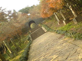Mountain & Old Town Walk (13)