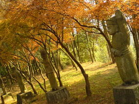 Mountain & Old Town Walk (14)