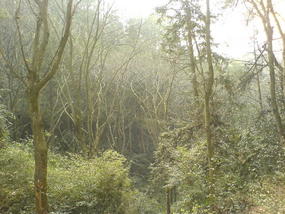 Mountain & Old Town Walk (16)