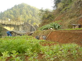 Mountain & Old Town Walk (22)