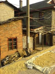 Mountain & Old Town Walk (27)