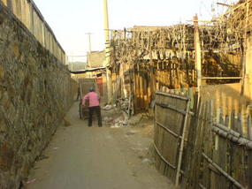 Mountain & Old Town Walk (28)