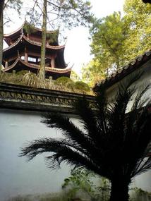 Mountain & Old Town Walk (9)