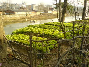 Cemetary & Russian Orchestra (11)