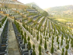 Cemetary & Russian Orchestra (17)