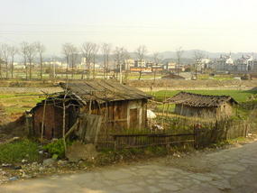Cemetary & Russian Orchestra (7)