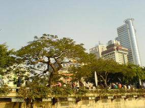 Xiamen - Speedboat & Backstreets (12)