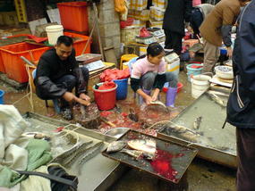Xiamen - Speedboat & Backstreets (23)