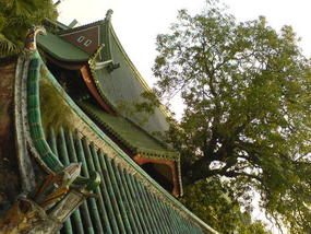Taiwan Boat N Nanputo Temple (14)