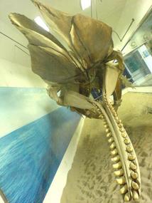 Underwater World & BBQ (10)
