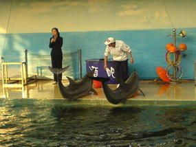 Underwater World & BBQ (18)