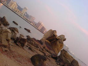 Underwater World & BBQ (29)
