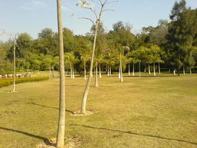 Gulang Yu Walking Adventure (18)