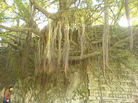 Gulang Yu Walking Adventure (27)