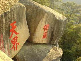 Botanical Gardens (10)