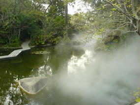 Botanical Gardens (13)