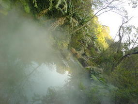 Botanical Gardens (14)