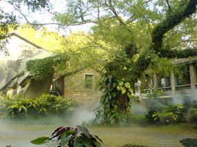 Botanical Gardens (16)