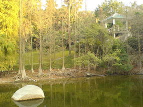 Botanical Gardens (18)