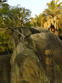 Botanical Gardens (19)