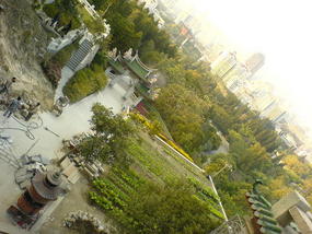 Botanical Gardens (22)