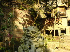 Botanical Gardens (3)