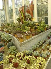 Botanical Gardens (5)