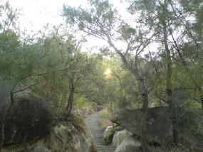 Botanical Gardens (6)